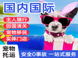 广州白云航空邮寄国际宠物托运 【国